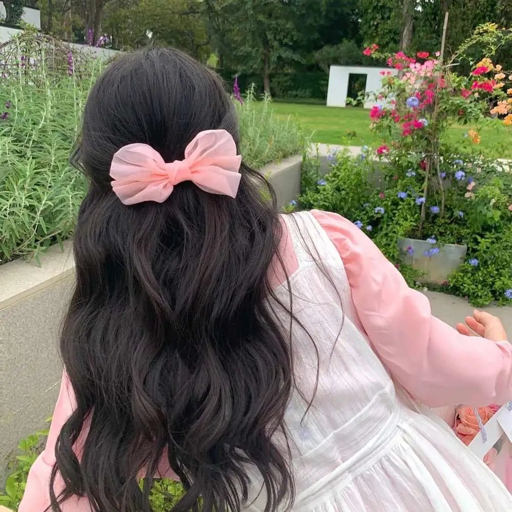 他的玫瑰与寒霜